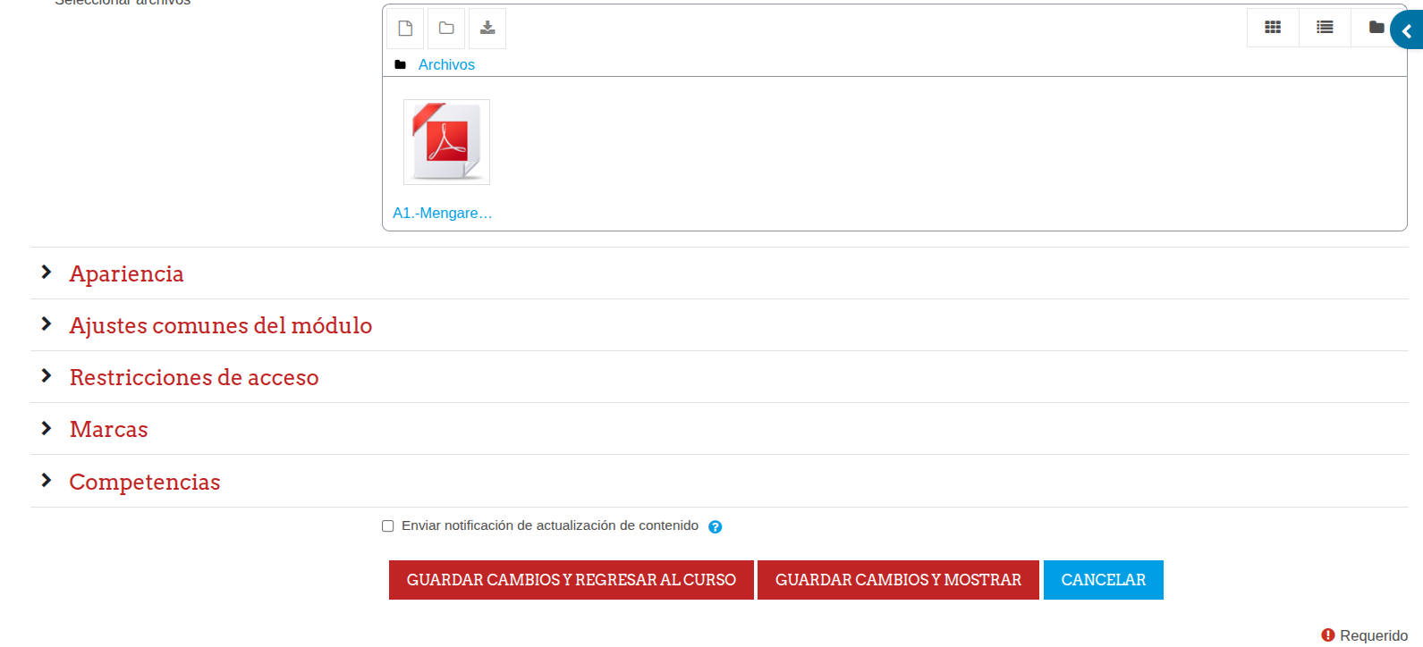 Subio_el_archivo.png